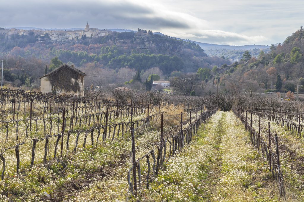 Blick über ruhende Weinberge der Provence auf ein Dorf auf einem Hügel.