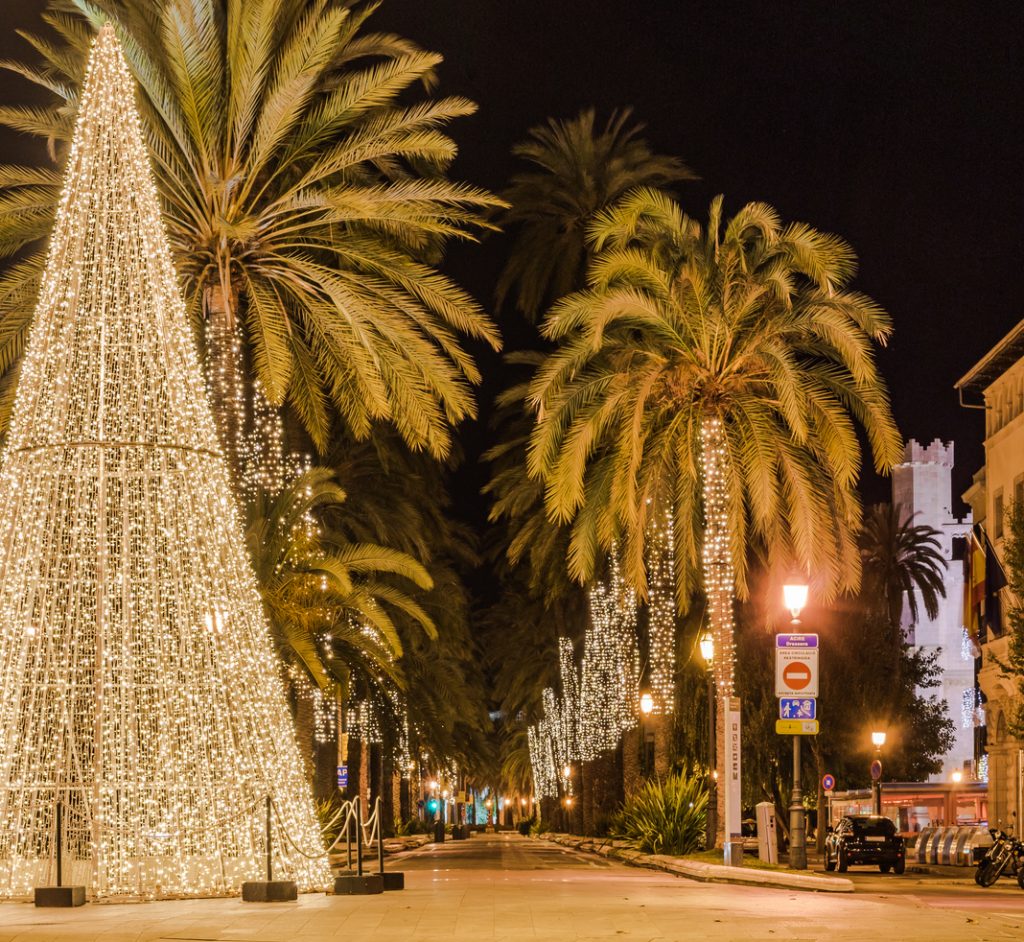 Palmenallee auf Mallorca bei Nacht mit aufgestelltem, hell strahlendem Lichter-Weihnachtsbaum und vielen kleinen Lichterketten.