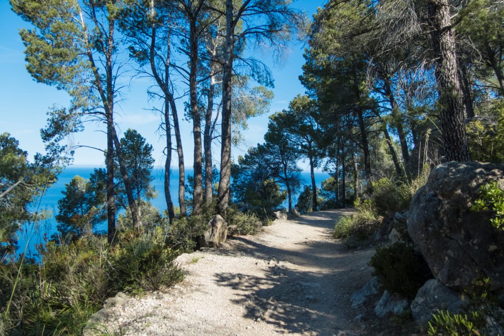 Schattiger Waldweg mit Blick auf das blaue Meer bei Banyalbufar auf Mallorca.