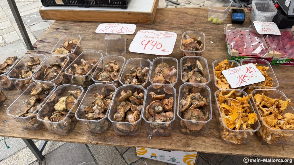 Der Wochenmarkt in Inca auf Mallorca