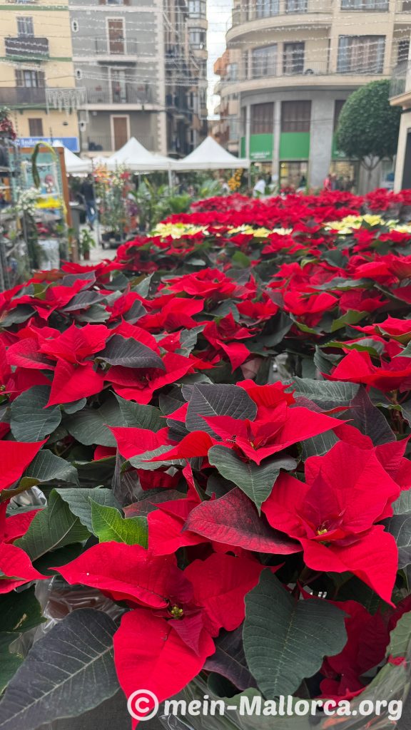 Der Wochenmarkt in Inca auf Mallorca