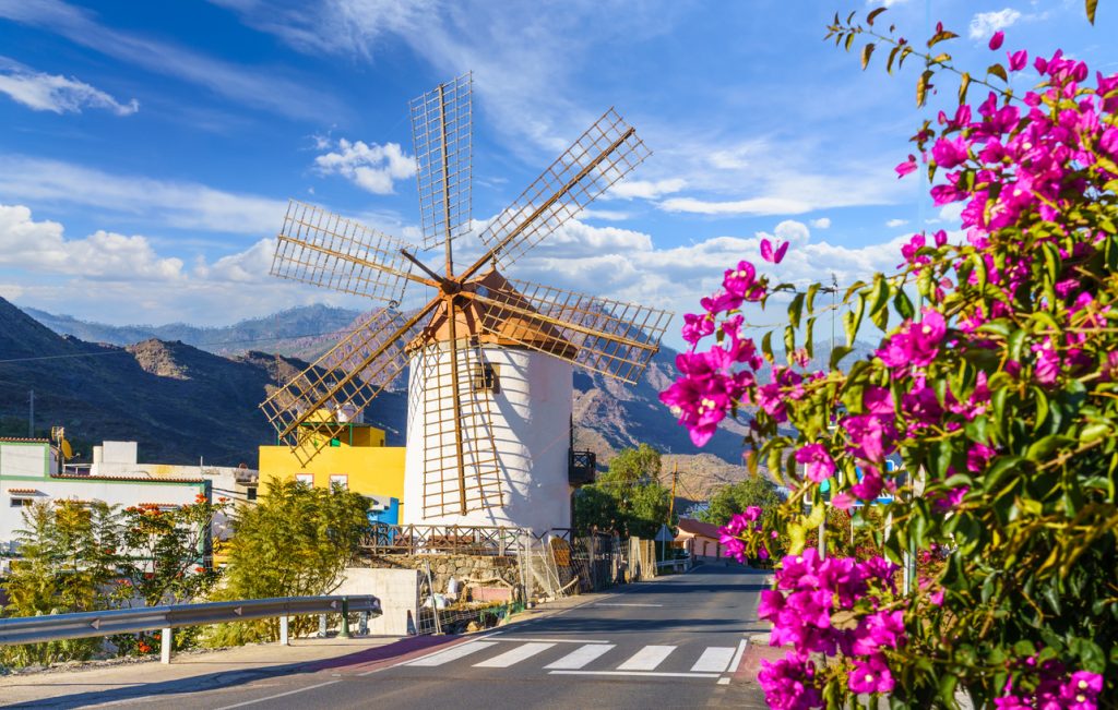 Eine weiße Windmühle steht am Straßenrand neben leuchtend pinken Bougainvillea-Blüten.