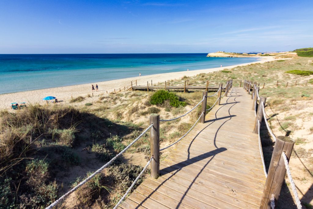 Ein Holzweg führt durch Dünen zum breiten Sandstrand von Son Bou mit ruhigem, blauem Meer.