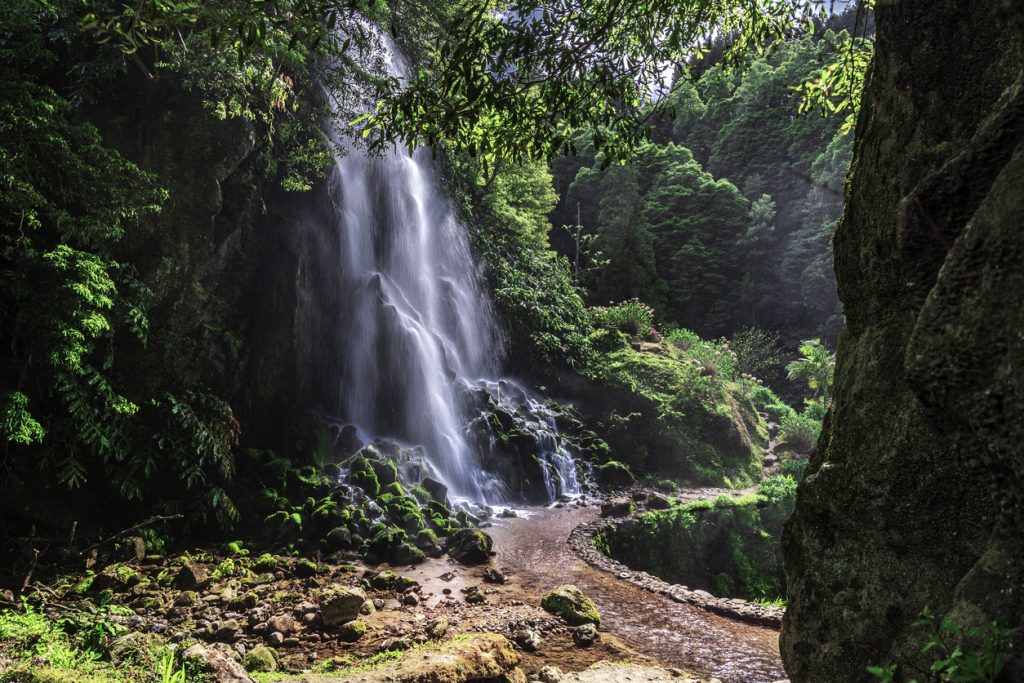 Hoher Wasserfall in üppigem Wald auf den Azoren.