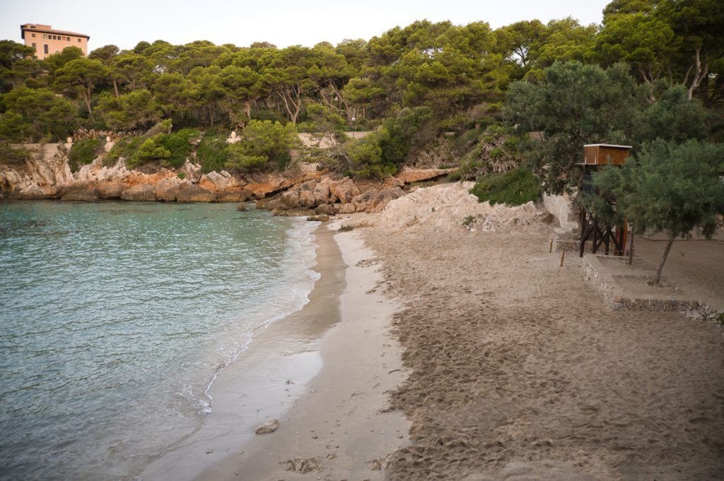Kleine Sandbucht bei Capdepera mit Pinien und klarem Wasser.