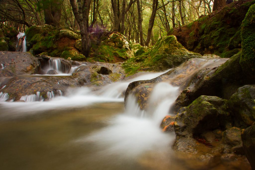 Mehrere kleine Wasserstufen am Salt des Freu auf Mallorca zwischen bemoosten Felsen im Wald.