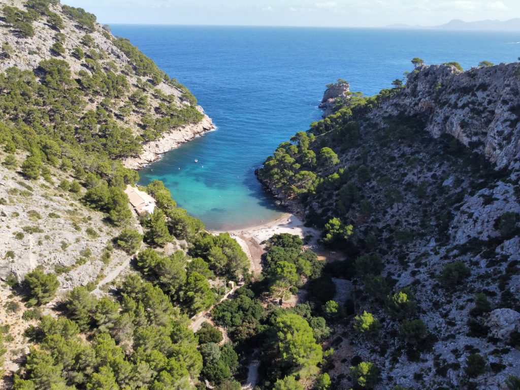 Blick von oben auf die Cala Murta auf Mallorca mit kleinem Strand zwischen bewaldeten Felsen.
