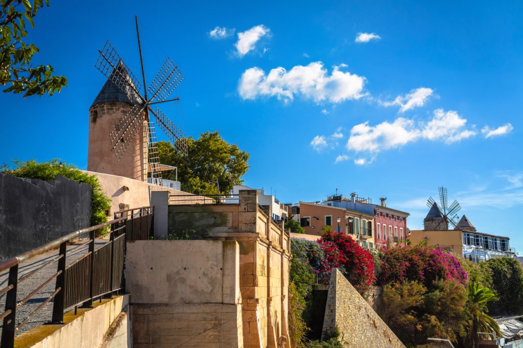 Windmühle auf einer Anhöhe mit Blick auf bunte Häuser und blühende Sträucher in Mallorca.