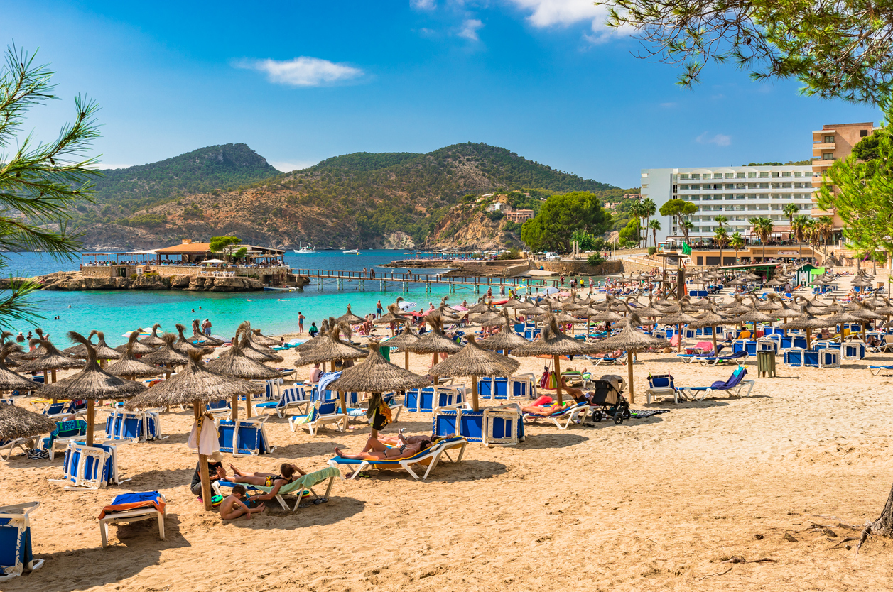 Viele Strohs Sonnenschirme und Liegen stehen am Sandstrand, im Hintergrund liegen Hotels und Berge bei Camp de Mar auf Mallorca.