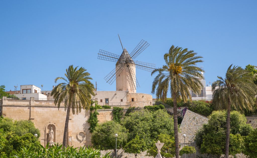 Weiße Windmühle mit Gitterflügeln über einer Palmenanlage in Mallorca.