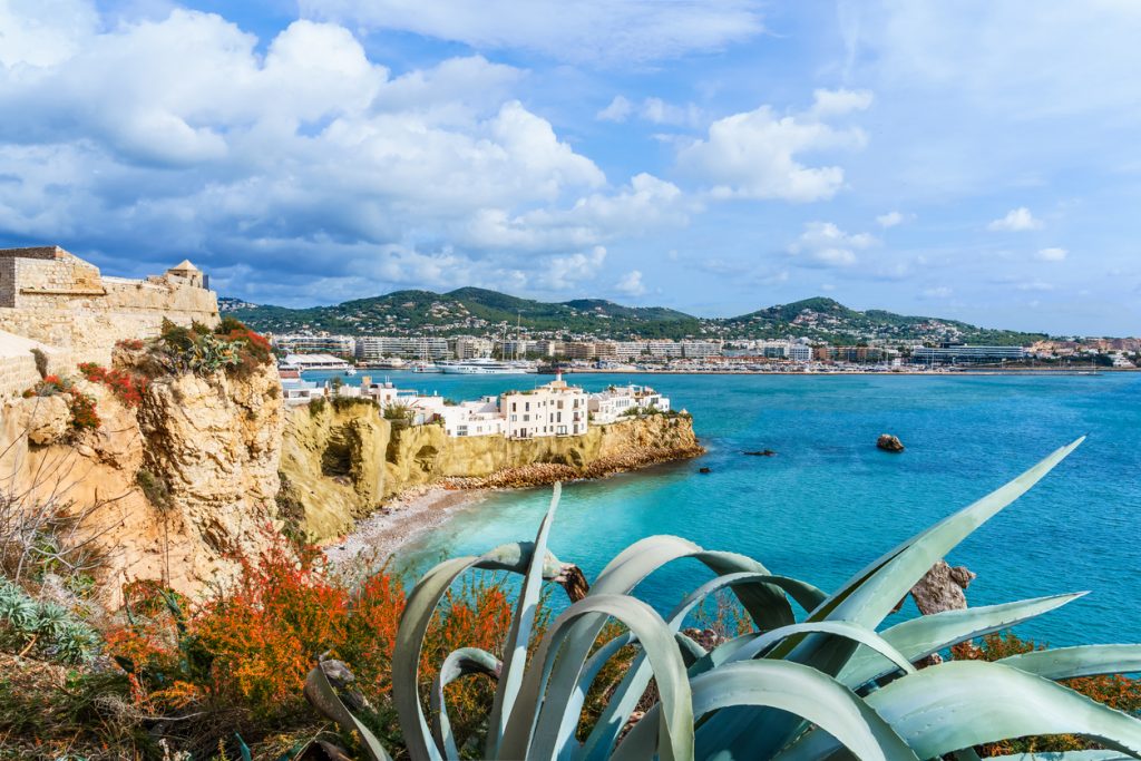 Küstenlandschaft auf Ibiza mit Felsen, blauem Wasser, Wolkenhimmel und Pflanzen im Vordergrund.