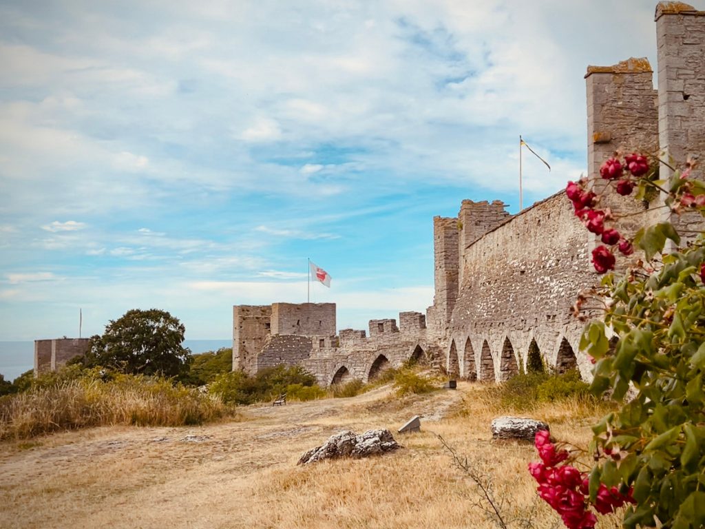 Weite Maueranlage mit Türmen und rosa Blumen im Vordergrund.