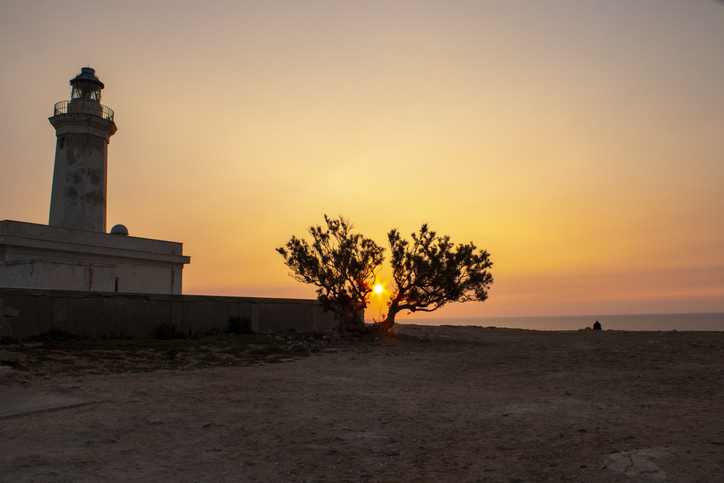 Die Silhouette des Leuchtturms von Capo Grecale und eines Baumes stehen vor einem orange-goldenen Abendhimmel.