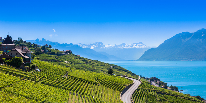 Eine geschwungene Straße führt durch steile, grüne Weinterrassen mit Blick auf den Genfersee und schneebedeckte Alpengipfel.