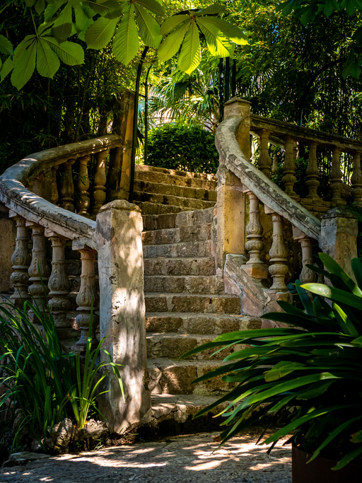 Eine geschwungene Steintreppe führt zwischen dichtem Grün nach oben.