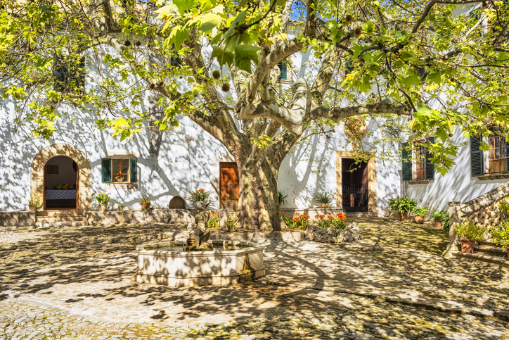 Ein mächtiger Baum wirft Schatten auf einen gepflasterten Hof mit Brunnen und weißen Fassaden.