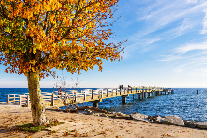 Eine hölzerne Seebrücke führt ins Meer, daneben steht ein Baum mit leuchtend gelben Herbstblättern.