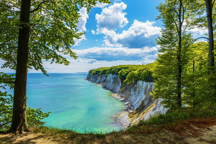 Ein Blick durch grüne Bäume auf die strahlend weißen Kreidefelsen und das türkisfarbene Wasser der Ostsee.