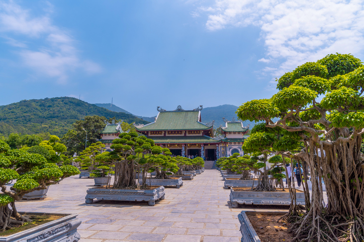 Zahlreiche kunstvoll geschnittene Bonsai-Bäume in großen Steintöpfen auf einem weiten Platz vor einem Tempel mit grünem Dach.