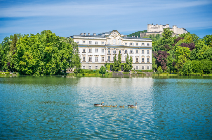 Ein helles Schloss steht am See, während im Vordergrund Vögel auf dem Wasser schwimmen.