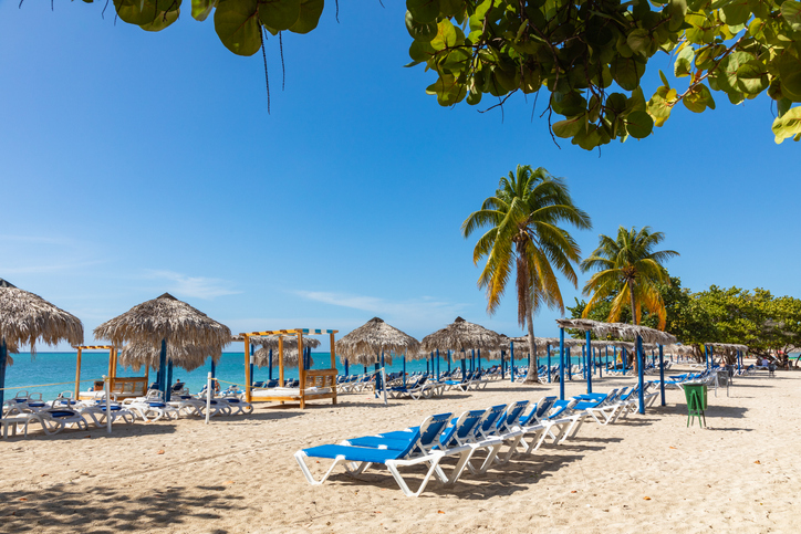 Ein weißer Sandstrand in Kuba mit blauen Liegestühlen, strohgedeckten Sonnenschirmen und hohen Palmen unter strahlend blauem Himmel.