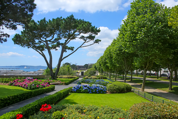 Eine gepflegte Parkanlage mit blühenden Hortensien, einer Allee aus hohen Bäumen und Blick auf das blaue Meer im Hintergrund.
