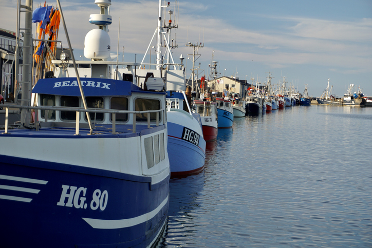 Zahlreiche blau-weiße Fischkutter liegen friedlich im Hafenbecken von Hirtshals bei ruhigem Wetter
