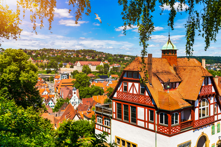 Aussicht auf Tübingen mit Fachwerkhaus, roten Dächern, grünen Bäumen und blauem Himmel.