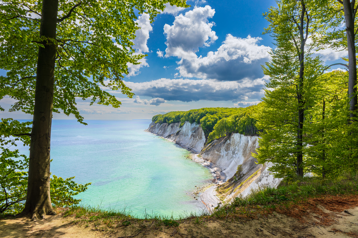 Blick durch einen Buchenwald auf die leuchtend weißen Kreidefelsen und das türkisblaue Wasser der Ostsee auf der Insel Rügen.