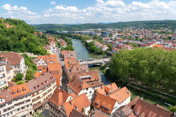 Blick über die Tübinger Altstadt mit Neckar, Brücke, roten Dächern und grünen Hügeln.