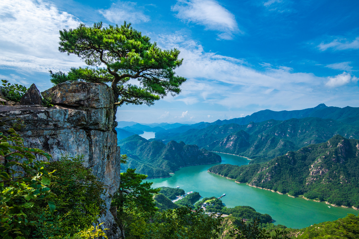 Eine Kiefer thront auf einem steilen Felsen über einem gewundenen, smaragdgrünen See in der Bergwelt Südkoreas.