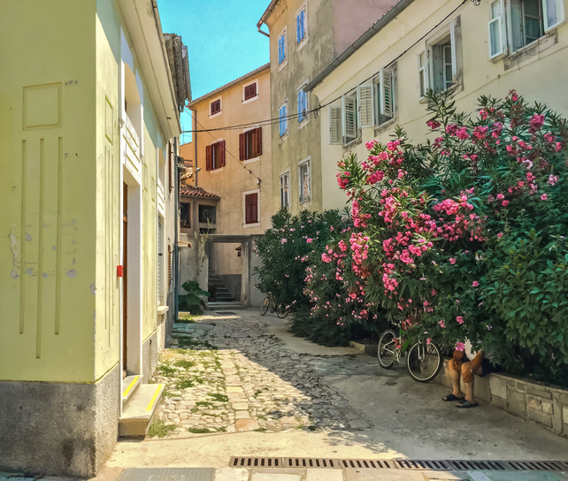 Eine gepflasterte Gasse auf Cres mit bunten Häuserfassaden und einem großen, pink blühenden Oleanderbusch.