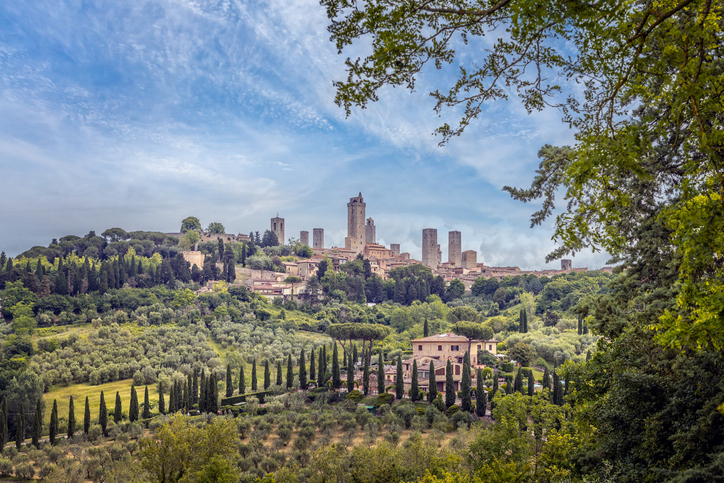 Aus der Ferne ragen die berühmten Geschlechtertürme von San Gimignano über die grünen Olivenhaine der Toskana.