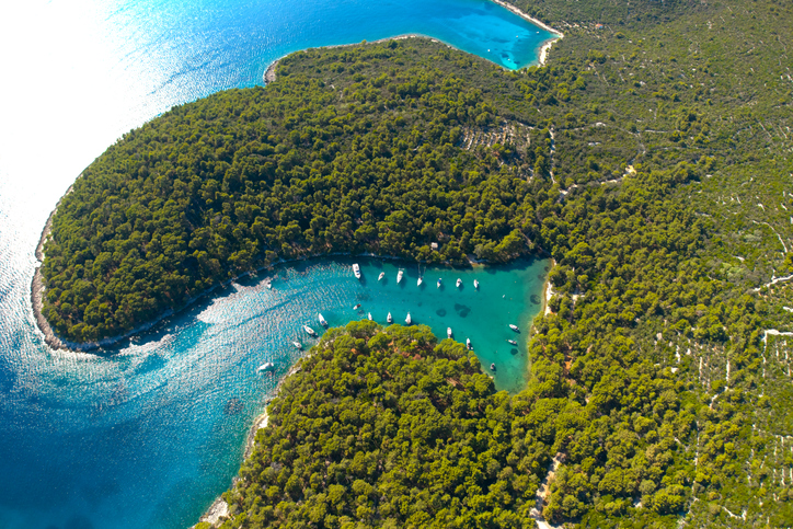 Eine bewaldete Halbinsel auf Cres umschließt eine ruhige Bucht, in der mehrere weiße Segelyachten ankern.
