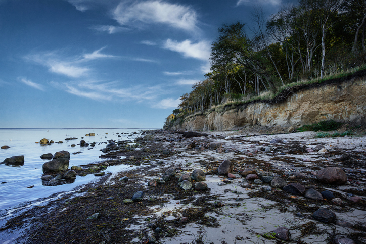 Ein naturbelassener Strand auf der Insel Poel mit großen Steinen im Wasser, angespültem Seetang und einer bewaldeten Steilküste unter einem malerischen Himmel.