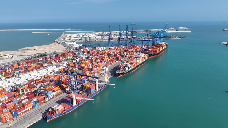 Große Containerschiffe liegen an den Kais des Industriehafens von Valencia unter blauen Kränen.