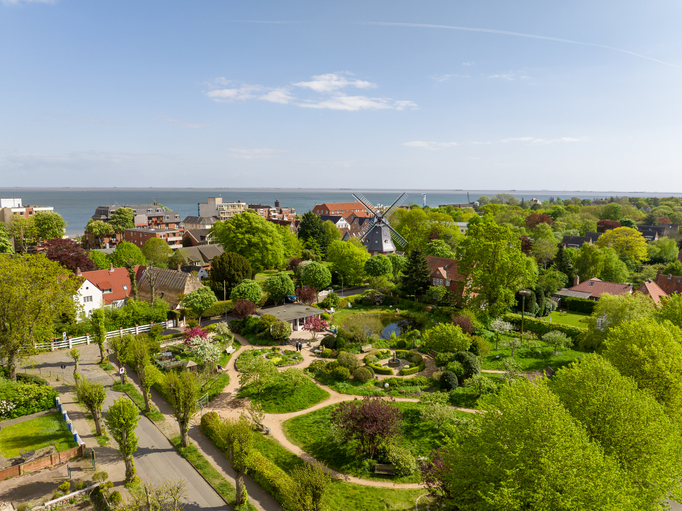 Eine grüne Parklandschaft mit einem Teich und einer traditionellen Windmühle auf Föhr, umgeben von Bäumen und typischen Inselhäusern.