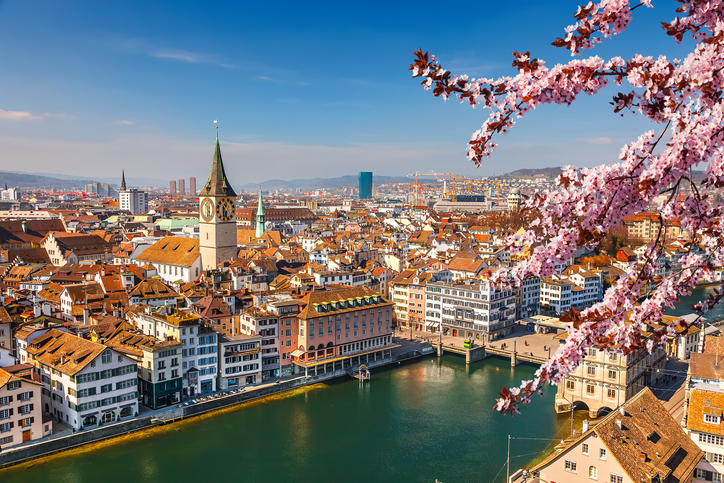 Blick über die Limmat auf die St. Peter Kirche, eingerahmt von rosa Kirschblüten im Vordergrund.