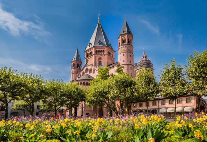 Der Mainzer Dom ragt hinter einer bunten Blumenwiese mit gelben Blüten hervor, umrahmt von grünen Bäumen unter blauem Himmel.