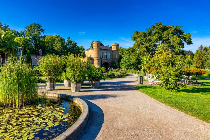 Ein ruhiger Weg in einem parkähnlichen Garten in Karlsruhe mit einem kleinen Teich voller Seerosen im Vordergrund.