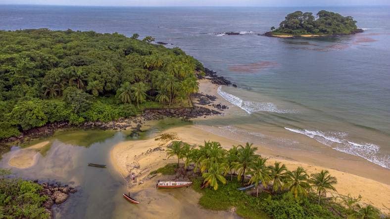 Ein Luftbild zeigt eine geschwungene Sandbucht in Sierra Leone, die von dichtem Palmenwald und einem klaren Meer begrenzt wird.