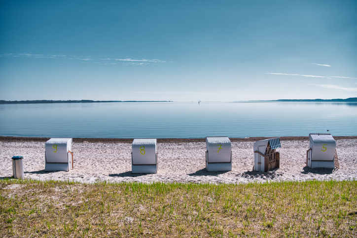 Eine Reihe von weißen Strandkörben steht in gleichmäßigen Abständen am sandigen Ufer der Flensburger Förde bei strahlend blauem Himmel.