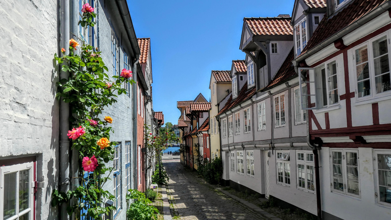 Eine schmale Gasse mit Kopfsteinpflaster wird von traditionellen Fachwerkhäusern gesäumt, an denen kräftige rosa und gelbe Kletterrosen blühen.