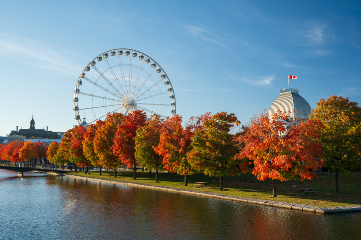 Das Riesenrad La Grande Roue de Montréal steht am Wasser zwischen Herbstbäumen und Stadtblick.