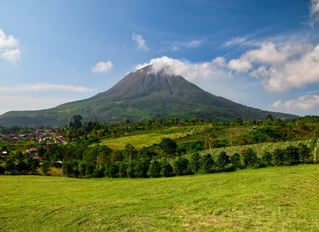 Ein großer, kegelförmiger Vulkan erhebt sich unter blauem Himmel über eine grüne Landschaft mit Feldern und dichten Wäldern.