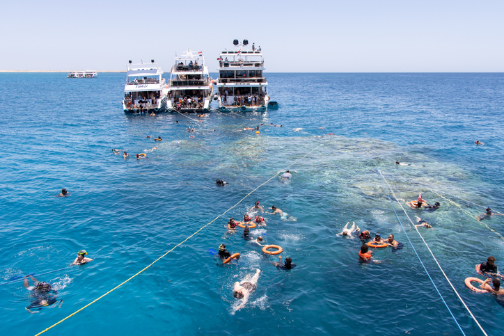 Touristen schnorcheln im kristallklaren Wasser von Hurghada an einem Korallenriff.