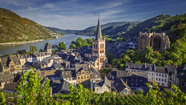 Ein Blick über ein malerisches, an den Rhein grenzendes Städtchen in der Region um Mainz mit Weinbergen im Vordergrund.