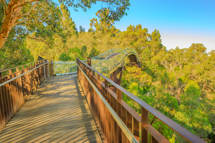 Holzsteg und geschwungene Brücke durch eine grüne Waldlandschaft nahe Perth.