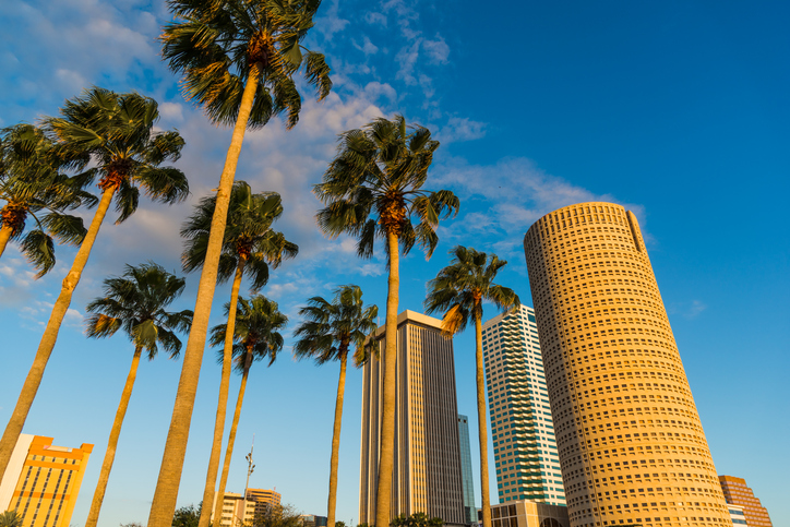 Hohe Gebäude der Skyline von Tampa ragen hinter Palmen in den blauen Himmel.