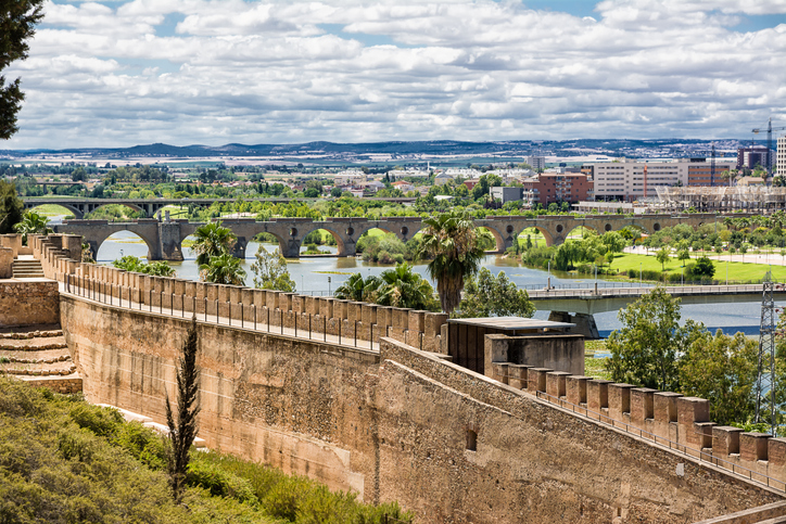 Historische Brücke über einen Fluss mit alter Mauer und grüner Landschaft in Badajoz
